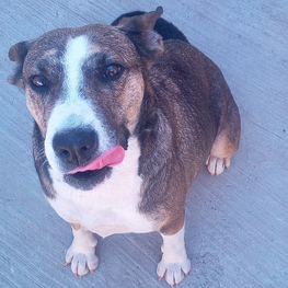 D 383ed31e 257c 4387 bc2d 395ca99a1398