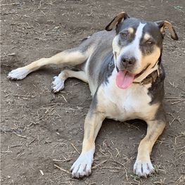 D 0314fc55 ce05 4b74 9ef2 f515bc392f94