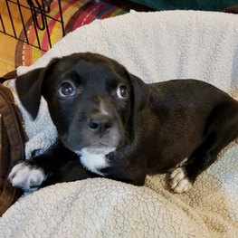 D e69fe8bc e7a1 434a 9d0f 5c8d83a7fc4f