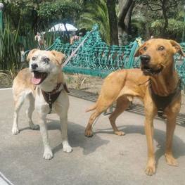 D 6943d32e 3ce4 4258 a9ab f10ce4f27b10