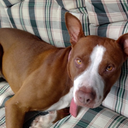 D 67a9510c 1812 4702 b83a 027bb07f5354