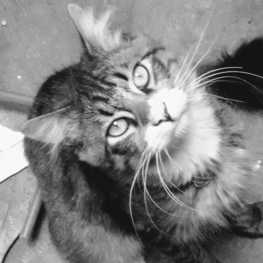 D 6919d16a 2a2c 41b2 94f8 f746dfe8370c