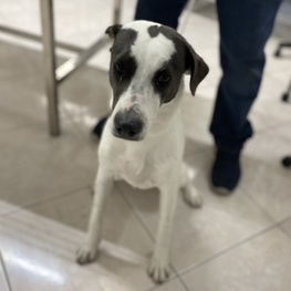 D e9b1d819 e2aa 4ca0 adba e4ded511f139