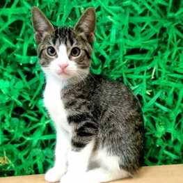 D 6ebbd70d c9d1 4d26 899e 074ba2020bf6