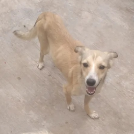 D 768db60a ca4e 48ca 8e2d 6a6b446daf08