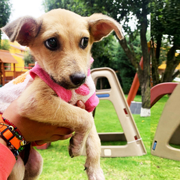 D fd4d4d2a ec30 4629 ac04 c08eb7fa8a15