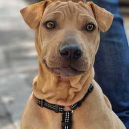 D 9a38e0d2 7f0a 4ddf 8cbd ead17902aae3