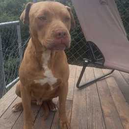 D 177fb8e0 913a 4459 b04c 86da76ec04f2