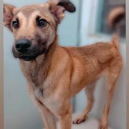 D 7bd5fe6c def7 421d a111 beef223c121f