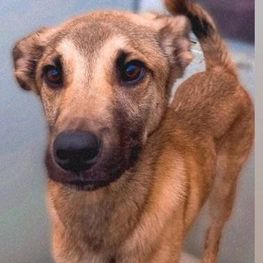 D d3469c56 9a0f 4bfd b465 117b60b3d330