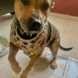 D e1099bc1 ce07 4829 b1c9 9acf24e3a995