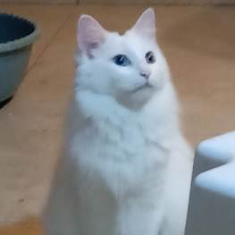 D fa46ed7d 8d15 4529 8cdb 0cc26eea7882