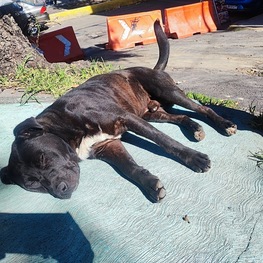 D a701c164 d97c 4178 8fb1 a4961a49d899