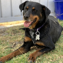 D 21d9b5e5 7afc 4128 b4bf 3c00a7e5f2d9