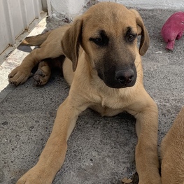 D 411ff0cd d992 466f 9555 3f2af4ccb6a3