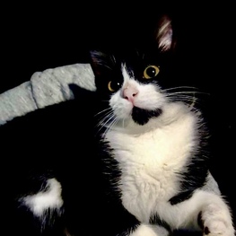 D 2d07faa1 1cbc 420e 814f 34fe2346427e