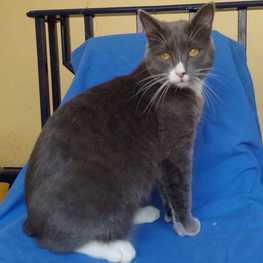 D 3804840c f405 4d50 8b7e 8d0155ed9e7c