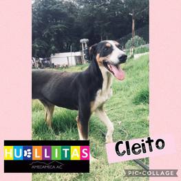 D da21476a d91a 4874 a457 7ed79f77126d