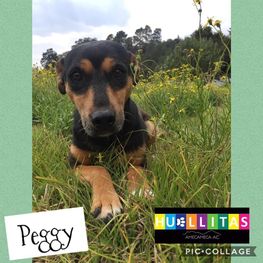 D 4d2e96f3 ab9d 47cc 97b9 1580ea5bb400