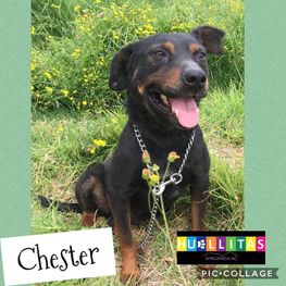 D 95939ec5 67ef 416c b59c 696e5abb84de