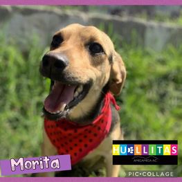 D 6f70d9ae d974 424f af35 be2bc299b73a