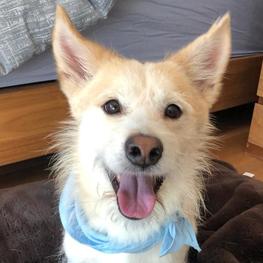 D ea96e028 ed68 41f4 b151 ad625f335c96