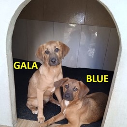 D 2c9b2410 a380 46af a8b4 b0532f85a0a9