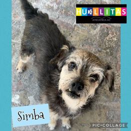 D 1796636d 9650 4c80 881a 15daa074cb4a