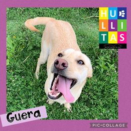 D b14d955c 874a 421b 9c7d 6d1679c3be81