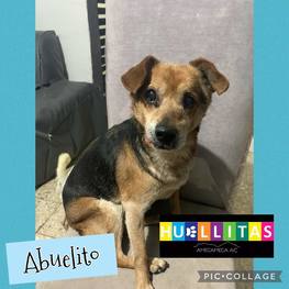 D ceb1cba2 08d4 495e 9c9e 3661fe0f25b1