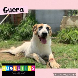 D ae0ace3c 4186 4b88 ba5f f9f51b5298f2