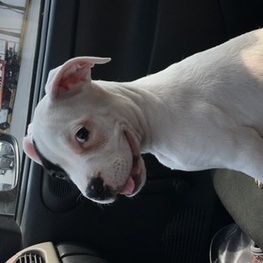 D da1d6eb8 edfa 4149 b341 f9b45bc41634