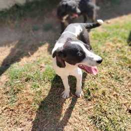 D 369dd7a7 d507 4b6d aa6f 6b026384d141