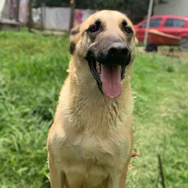 D c3deab12 a25c 4aed be54 3729cffd1fbe