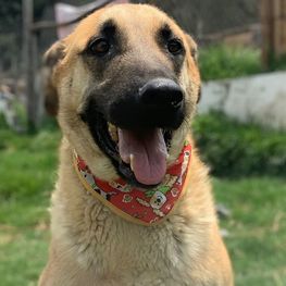 D 70cd3634 a743 43ae 82fa 59a799c67ec9