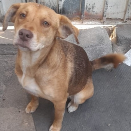 D c8e93cb1 9f01 47a6 a739 6ca14a9f561b