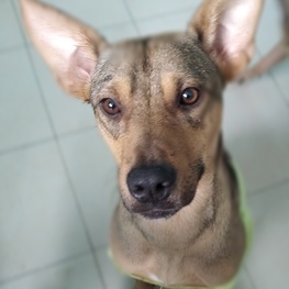 D 9005244f b7ed 4769 b610 ea93066d1ed5