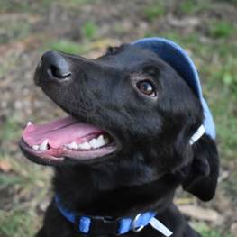 D db556ac2 fac6 49af adb9 b4d513d40720