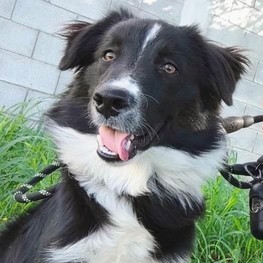 D a50d58e2 52b9 42fd a1b2 2659b2f8c912