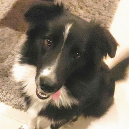 D c14ef112 c6e0 4b26 ab1b 2829a539c4d4