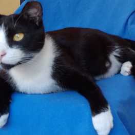 D 8f88aa37 1e03 45cc a817 86e0df5bf2c2