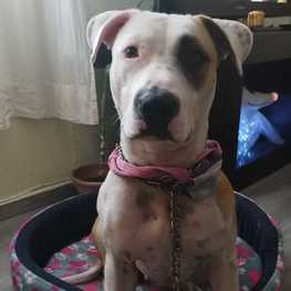 D 5b1da565 d45d 4fd3 af43 7596f880453e