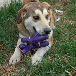 D 886814eb 4ff6 4e0d 8e3f 8a815cadcb9f