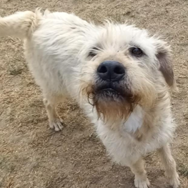 D dd02bf25 b8cd 41b1 9228 c4d27cdd357d