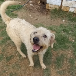 D cc943fd3 0ac6 4ac7 872f b08a41349723