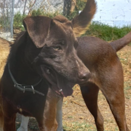 D 7d40fb1d 5c68 41b4 abf4 fbcede538ecd