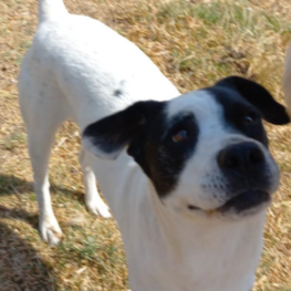 D 0deeafab 6a55 4d51 8f92 663fd512a5ce