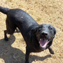 D 31a99e72 81c0 49b8 99bd 37190fb45995