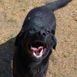 D c54b967d e9b7 4cd6 8b42 a4855f11db8e