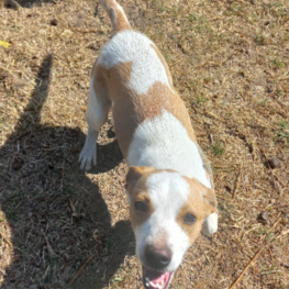 D 3fa8b9ca bd3b 453e a587 1d8dee33290d